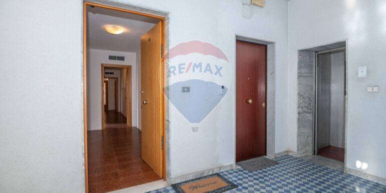 20250214121358-929295-3