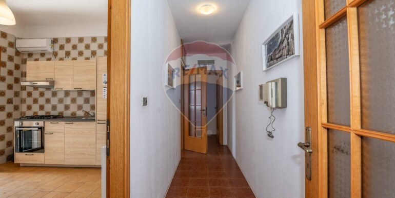 20250214121448-929295-29