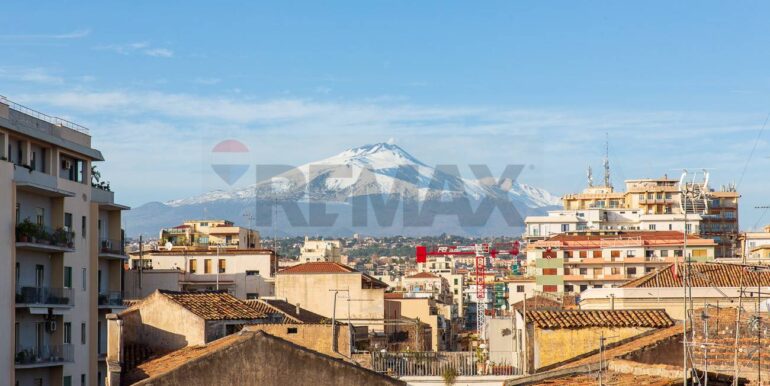 20250214193550-929646-2