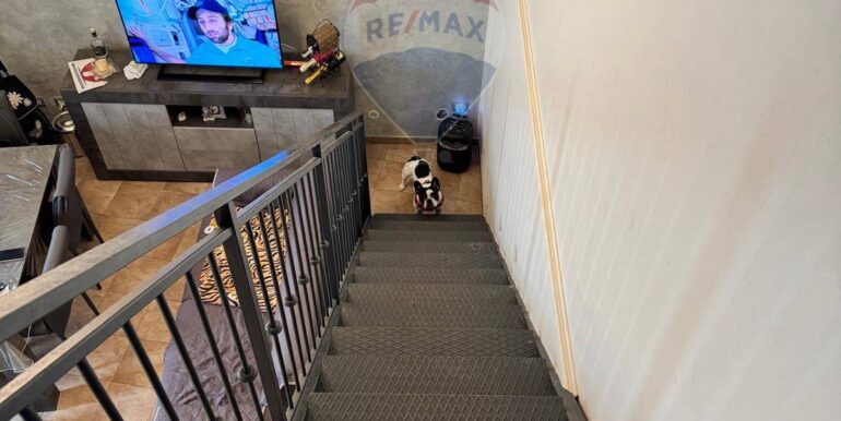 20250215113037-929678-1