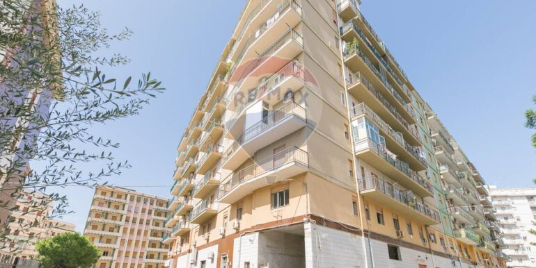 20250218175642-930395-1