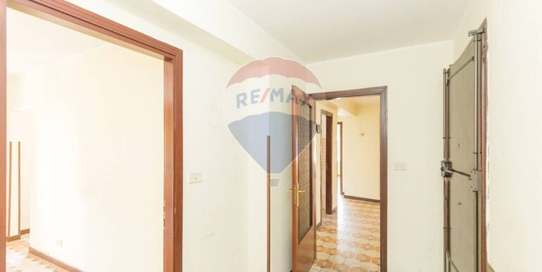 20250218175647-930395-4