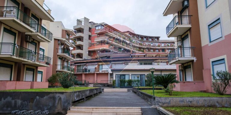 20250219164802-930637-29