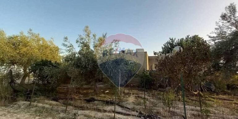 20250221103433-930685-33