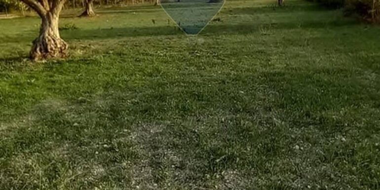 20250221103434-930685-34