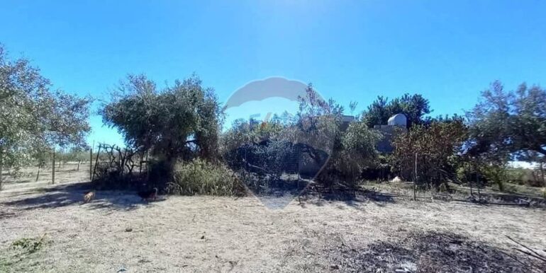 20250221103436-930685-36