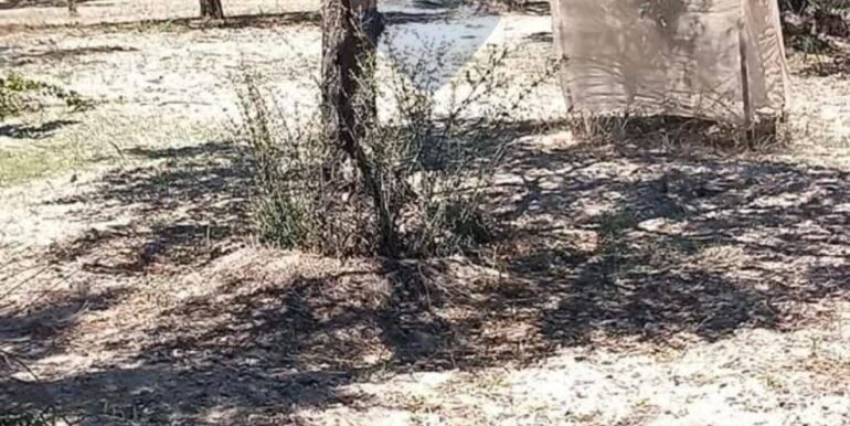 20250221103437-930685-37