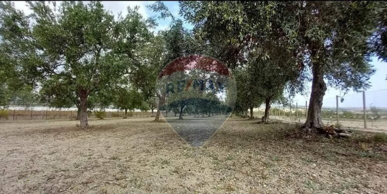 20250221103438-930685-38