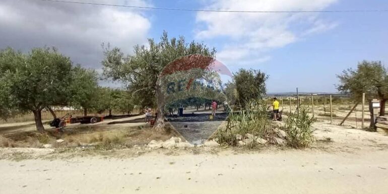 20250221103439-930685-39