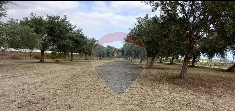 20250221103441-930685-41