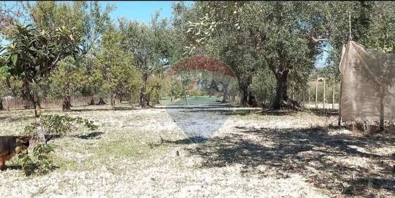 20250221103443-930685-42