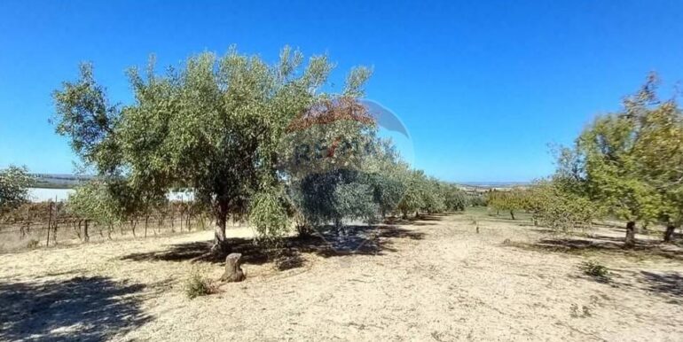 20250221103444-930685-43