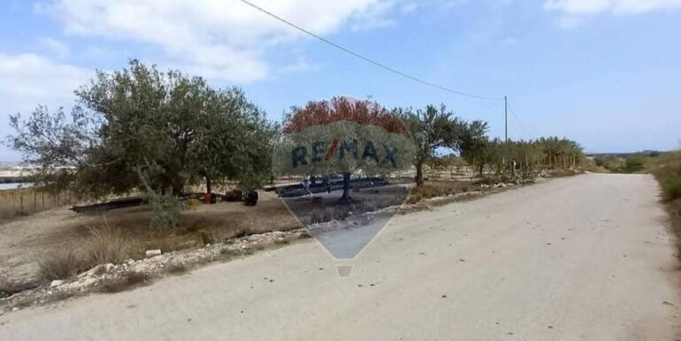 20250221103446-930685-45