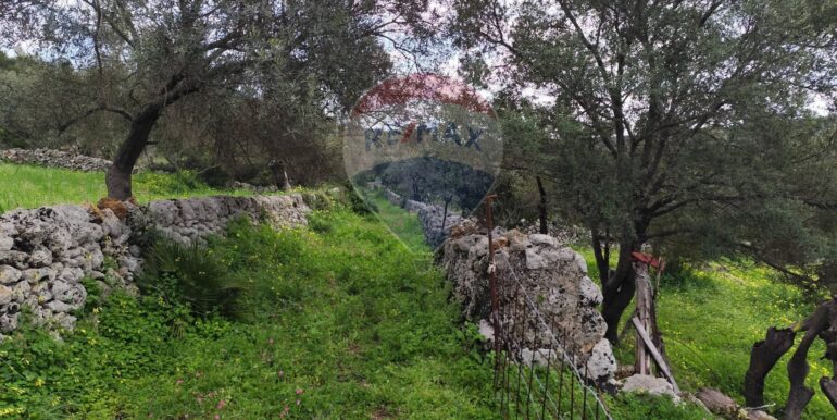 20250223201804-931278-3