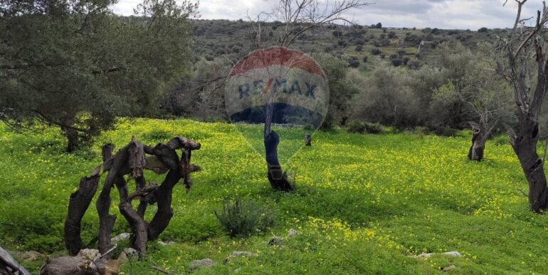 20250223201808-931278-4