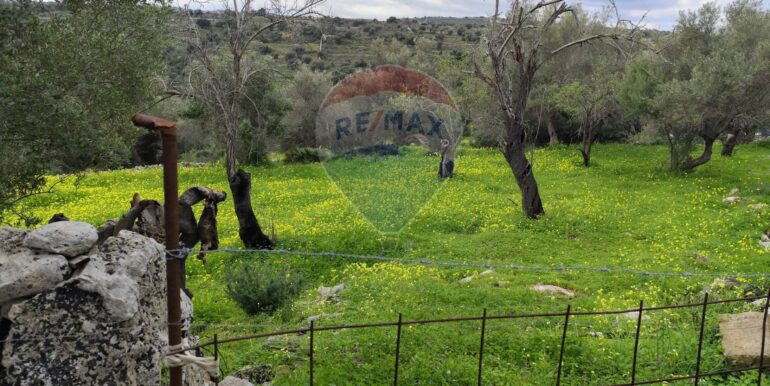 20250223201812-931278-5