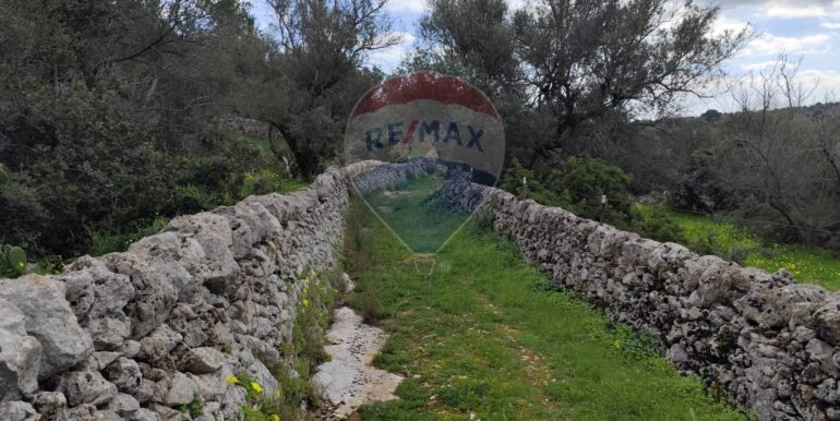 20250223201815-931278-6