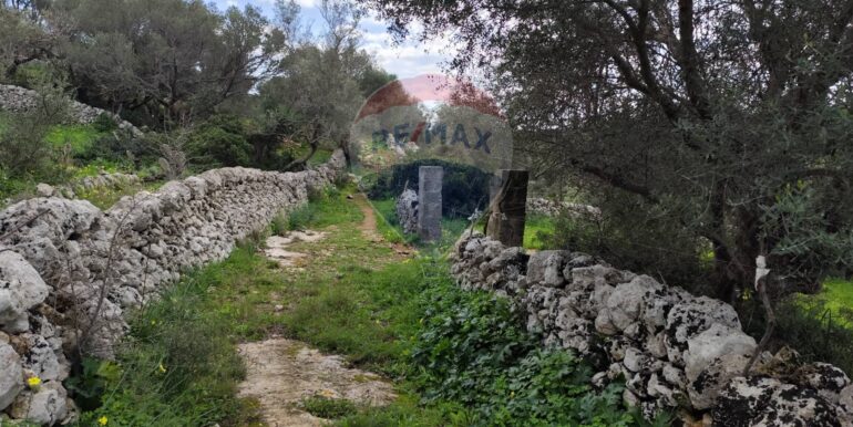 20250223201819-931278-7