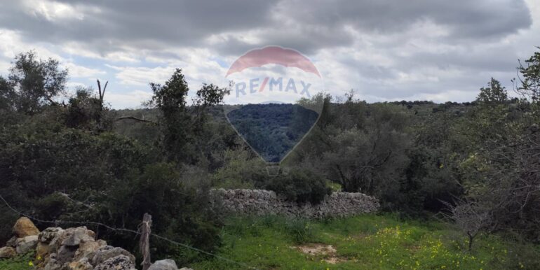 20250223201822-931278-8