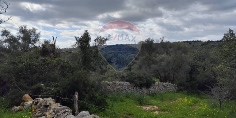 20250223201825-931278-9