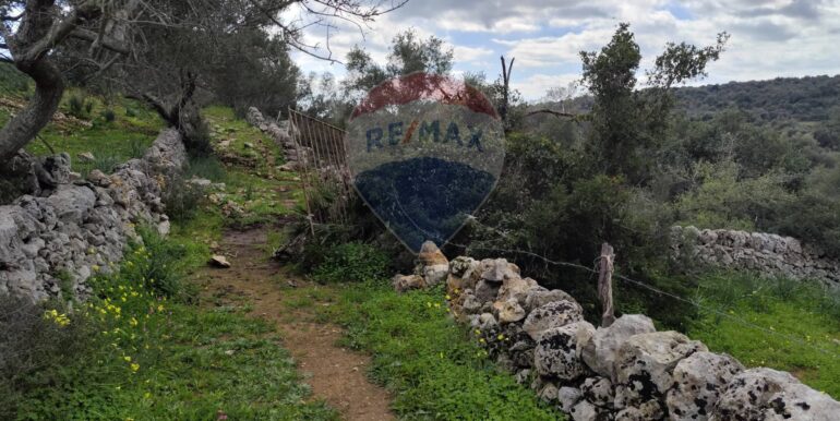 20250223201828-931278-10