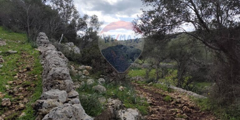 20250223201831-931278-11