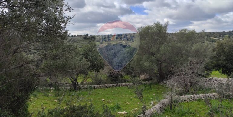 20250223201835-931278-12