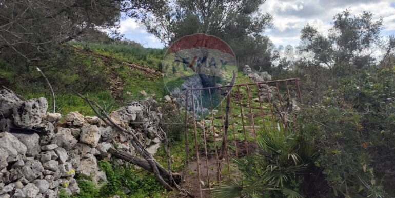 20250223201839-931278-13