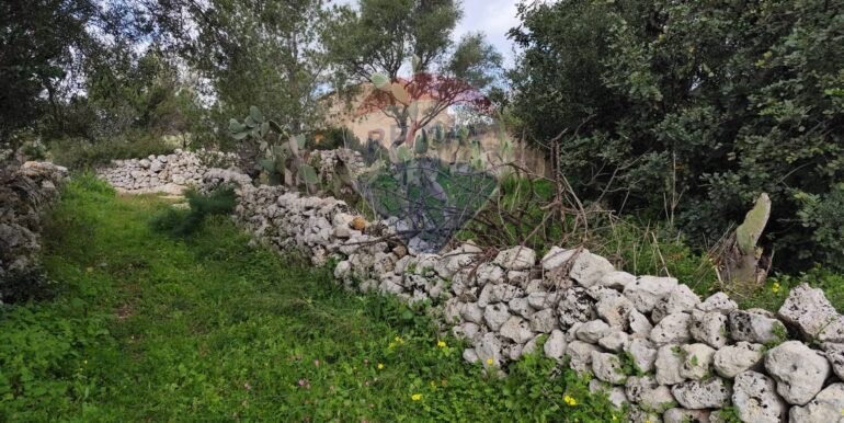 20250223201843-931278-14