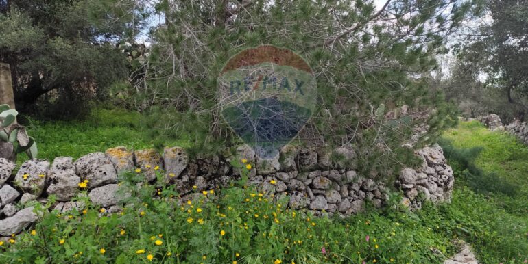 20250223201847-931278-15