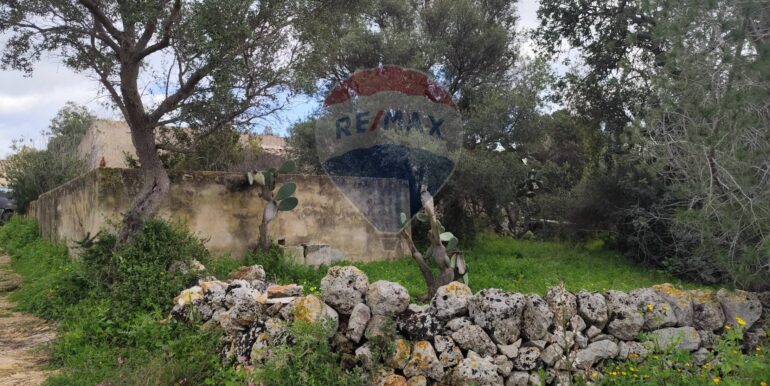 20250223201852-931278-16