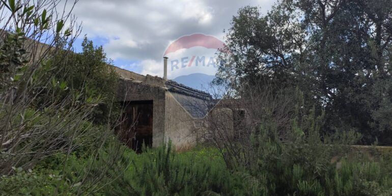 20250223201856-931278-17