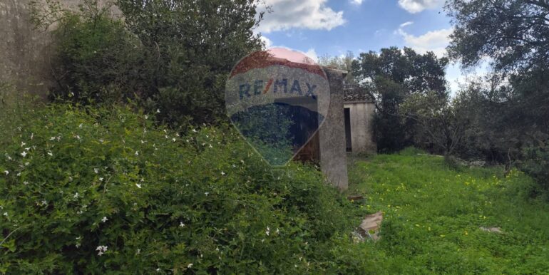 20250223201859-931278-18