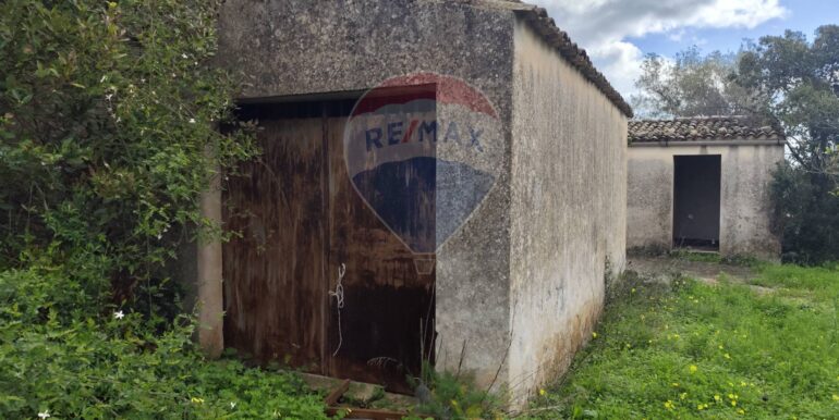 20250223201902-931278-19