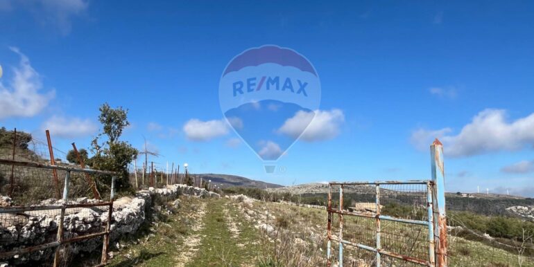 20250224124800-931598-2