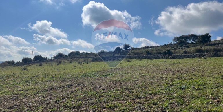 20250224124805-931598-4