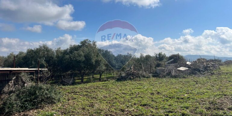 20250224124812-931598-5