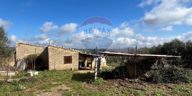 20250224124815-931598-6