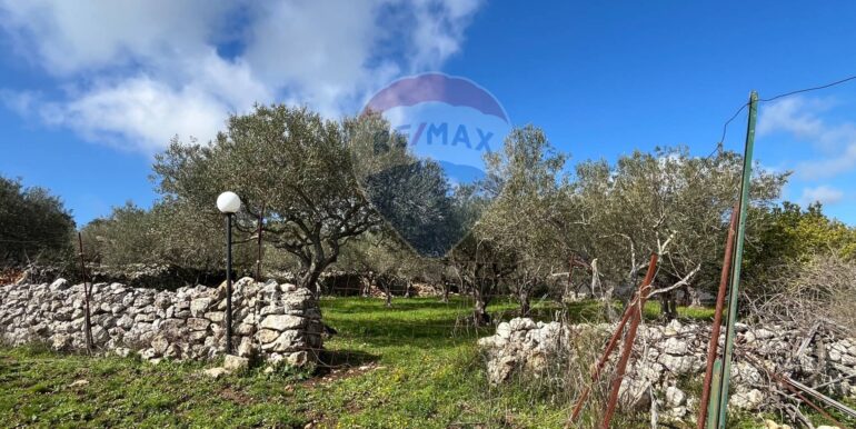 20250224124818-931598-7