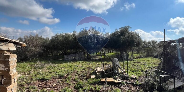 20250224124821-931598-8