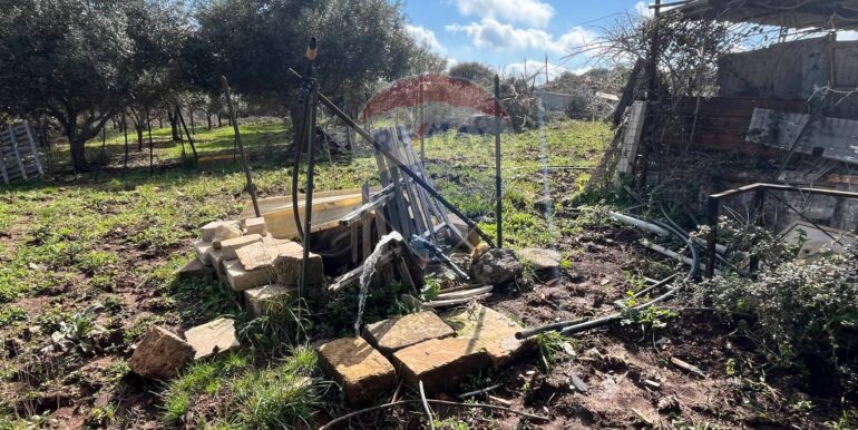 20250224124824-931598-9