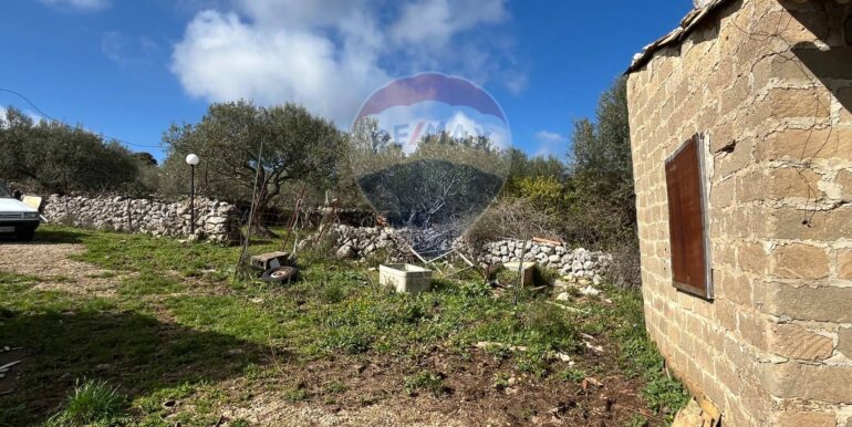 20250224124827-931598-10