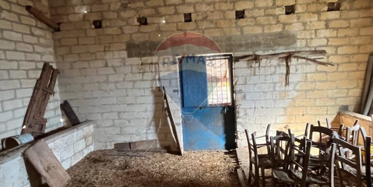 20250224124833-931598-13