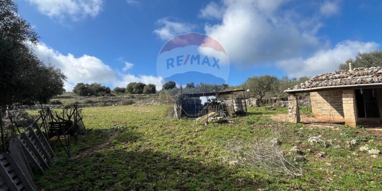 20250224124840-931598-16