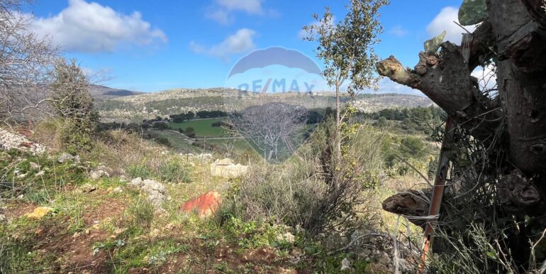 20250224124847-931598-18