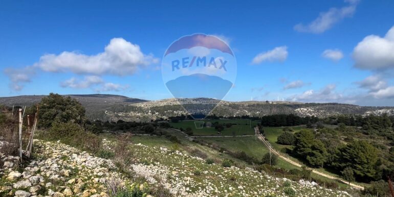 20250224124849-931598-19