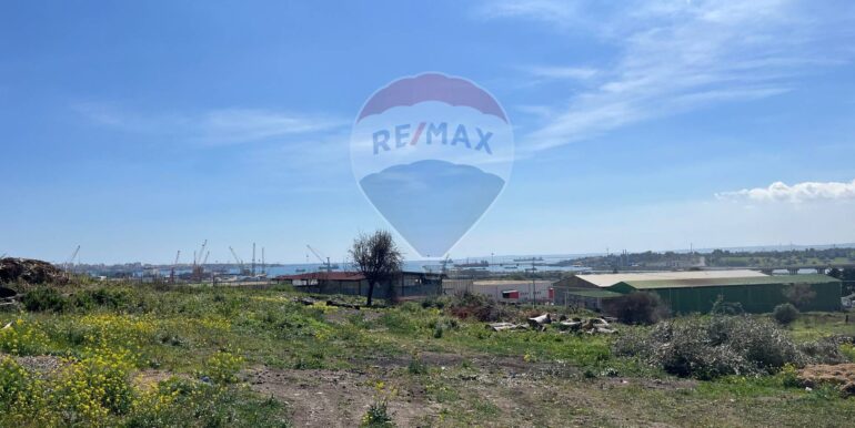 20250224131742-932055-1