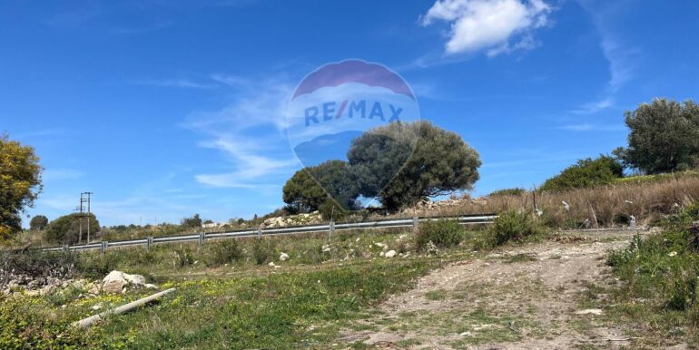 20250224131743-932055-2