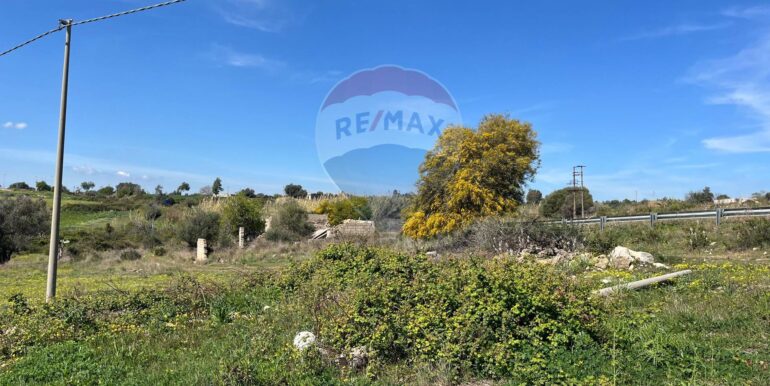 20250224131743-932055-3