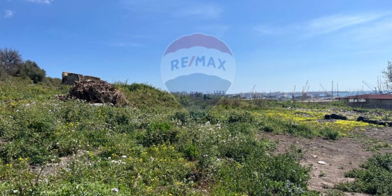 20250224131743-932055-4